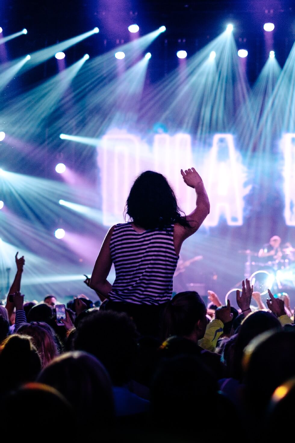 Flimp-themes Music Festival 3